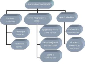 organigramma divisione sanità